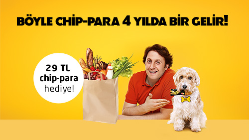 axess-29tl-chip-para